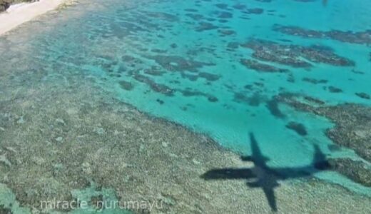 2024年の飛行機旅を振り返ります